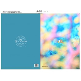 【2019年新品】【KU】Sea and Kamome Club Clear File Kagii先生