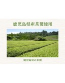 MINTON 和紅茶 日本鹿兒島茶葉-白桃-JF@